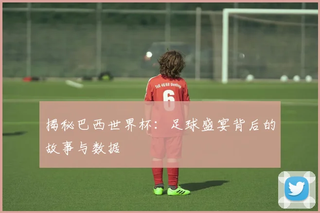 揭秘巴西世界杯:足球盛宴背后的故事与数据